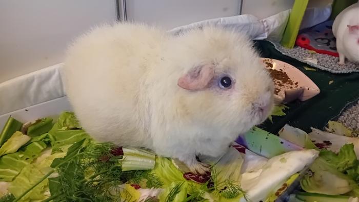 Klicke auf die Grafik fr eine grere Ansicht

Name:	20241117_074121.jpg
Hits:	0
Gre:	91,0 KB
ID:	210497