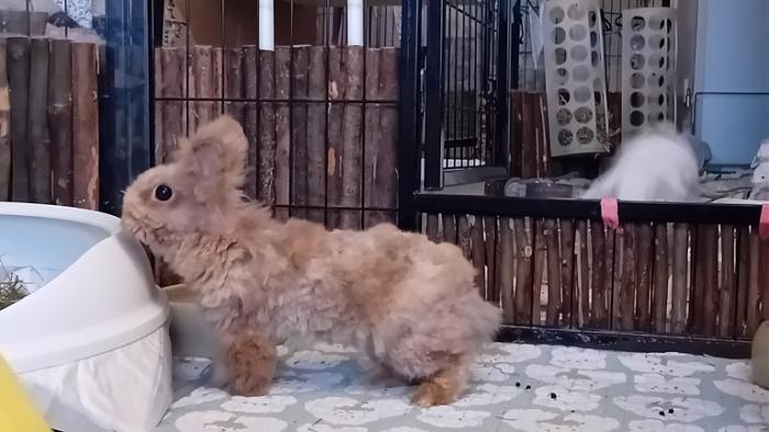 Klicke auf die Grafik fr eine grere Ansicht

Name:	20241116_082607.jpg
Hits:	0
Gre:	103,1 KB
ID:	210500