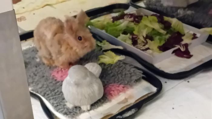 Klicke auf die Grafik fr eine grere Ansicht

Name:	20241116_163022.jpg
Hits:	0
Gre:	74,8 KB
ID:	210501