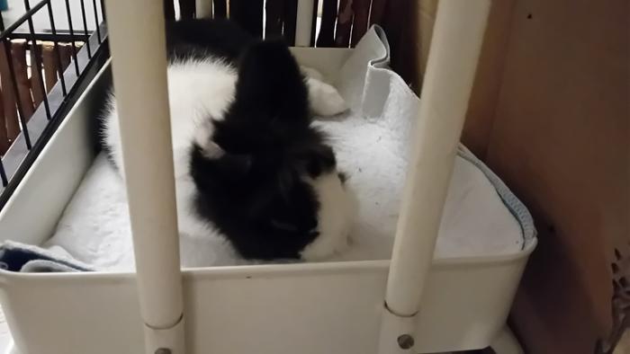 Klicke auf die Grafik fr eine grere Ansicht

Name:	20241112_052210.jpg
Hits:	0
Gre:	60,3 KB
ID:	210503