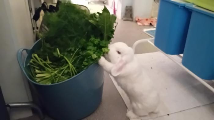 Klicke auf die Grafik fr eine grere Ansicht

Name:	20241112_194022.jpg
Hits:	0
Gre:	58,9 KB
ID:	210504