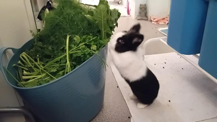 Klicke auf die Grafik fr eine grere Ansicht

Name:	20241112_195819.jpg
Hits:	0
Gre:	77,1 KB
ID:	210505