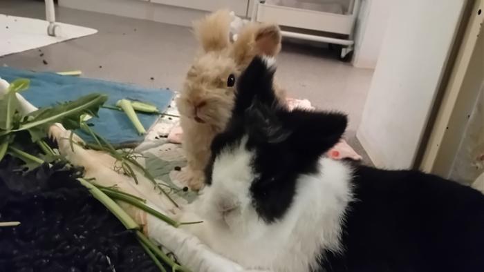 Klicke auf die Grafik fr eine grere Ansicht

Name:	20241113_041854.jpg
Hits:	0
Gre:	69,2 KB
ID:	210506