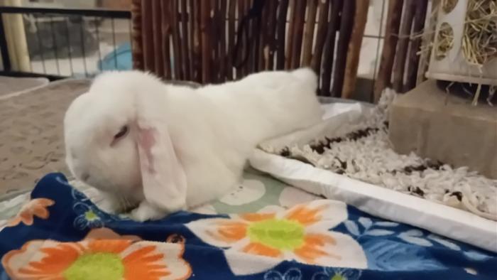 Klicke auf die Grafik fr eine grere Ansicht

Name:	20241113_060537.jpg
Hits:	0
Gre:	77,8 KB
ID:	210507