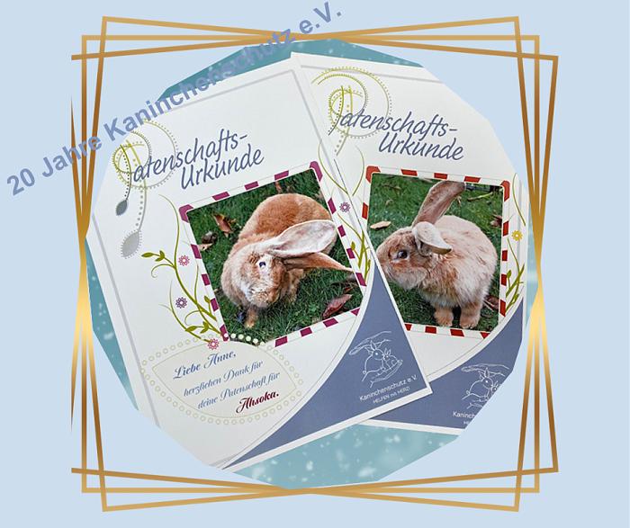 Klicke auf die Grafik f�r eine gr��ere Ansicht

Name:	IMG_1828.jpeg
Hits:	177
Gr��e:	86,1 KB
ID:	210528