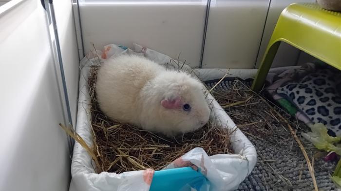 Klicke auf die Grafik fr eine grere Ansicht

Name:	20241119_151838.jpg
Hits:	1
Gre:	93,6 KB
ID:	210594