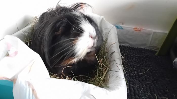 Klicke auf die Grafik fr eine grere Ansicht

Name:	20241119_153736.jpg
Hits:	0
Gre:	78,3 KB
ID:	210597