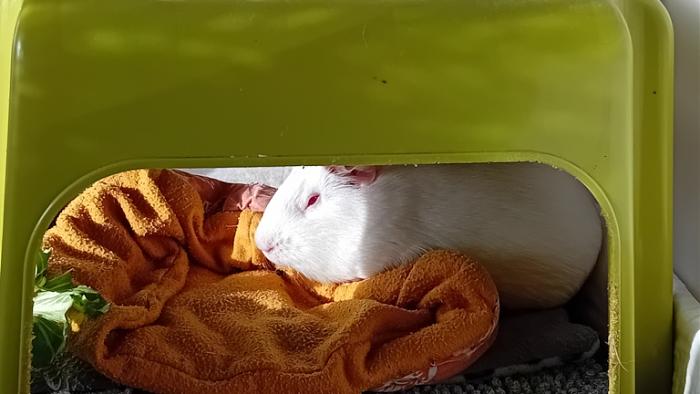 Klicke auf die Grafik fr eine grere Ansicht

Name:	20241123_100923.jpg
Hits:	0
Gre:	91,7 KB
ID:	210603