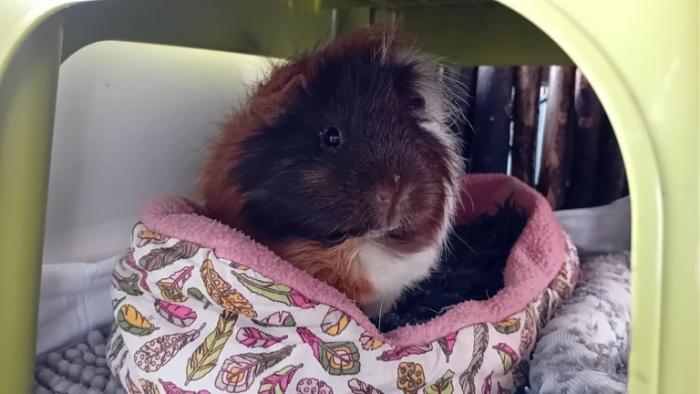 Klicke auf die Grafik fr eine grere Ansicht

Name:	20241123_100939.jpg
Hits:	0
Gre:	92,0 KB
ID:	210604