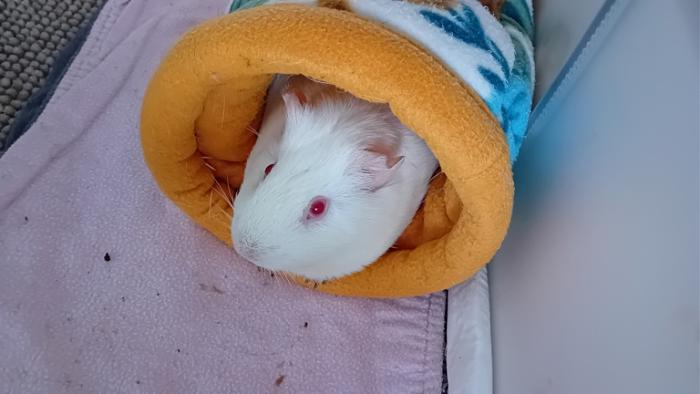 Klicke auf die Grafik fr eine grere Ansicht

Name:	20241119_151828.jpg
Hits:	0
Gre:	86,9 KB
ID:	210606