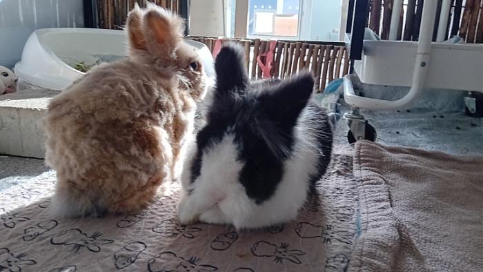 Klicke auf die Grafik fr eine grere Ansicht

Name:	20241124_125327.jpg
Hits:	0
Gre:	118,7 KB
ID:	210608