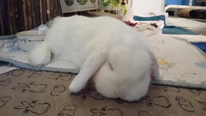 Klicke auf die Grafik fr eine grere Ansicht

Name:	20241119_161404.jpg
Hits:	0
Gre:	71,9 KB
ID:	210609