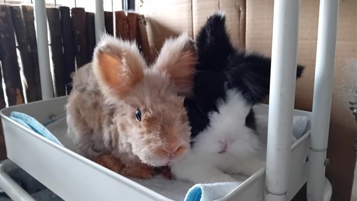 Klicke auf die Grafik fr eine grere Ansicht

Name:	20241123_100847.jpg
Hits:	0
Gre:	77,5 KB
ID:	210610