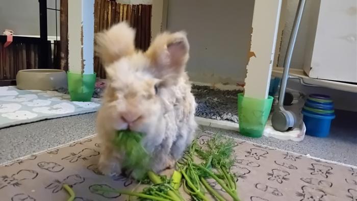 Klicke auf die Grafik fr eine grere Ansicht

Name:	20241124_075610.jpg
Hits:	0
Gre:	92,6 KB
ID:	210611