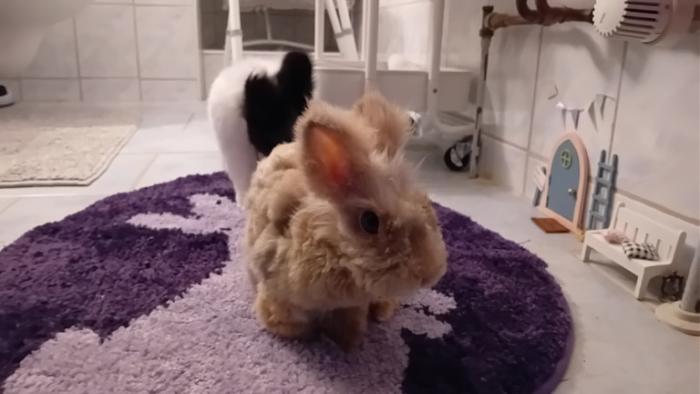 Klicke auf die Grafik fr eine grere Ansicht

Name:	20241124_095754.jpg
Hits:	0
Gre:	78,4 KB
ID:	210612