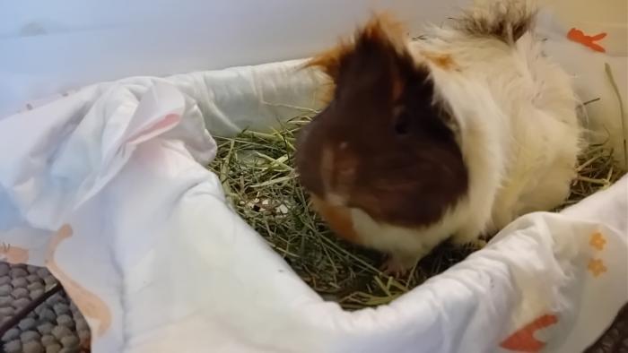 Klicke auf die Grafik fr eine grere Ansicht

Name:	20241201_083846.jpg
Hits:	0
Gre:	64,8 KB
ID:	210732