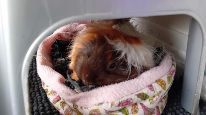 Klicke auf die Grafik fr eine grere Ansicht

Name:	20241201_110446.jpg
Hits:	1
Gre:	76,9 KB
ID:	210733