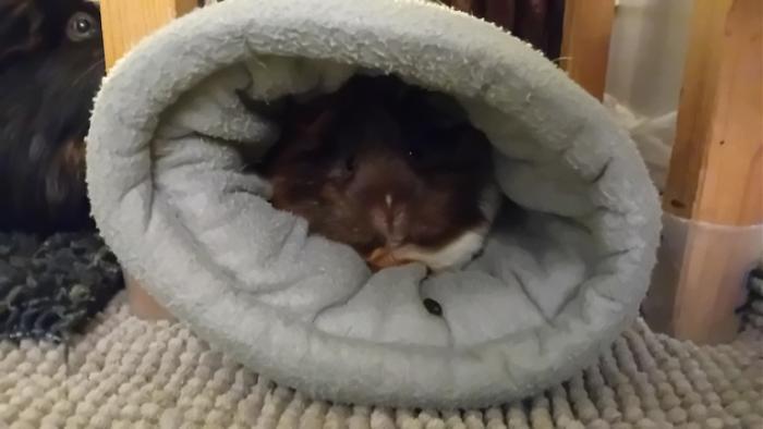 Klicke auf die Grafik fr eine grere Ansicht

Name:	20241129_054013.jpg
Hits:	0
Gre:	71,2 KB
ID:	210734