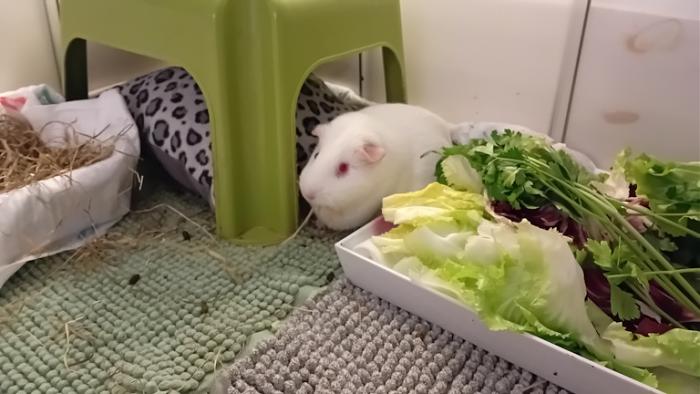 Klicke auf die Grafik fr eine grere Ansicht

Name:	20241129_054047.jpg
Hits:	0
Gre:	99,1 KB
ID:	210735