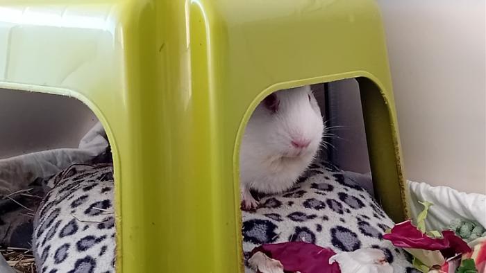 Klicke auf die Grafik fr eine grere Ansicht

Name:	20241130_141926.jpg
Hits:	0
Gre:	84,4 KB
ID:	210737