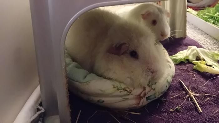 Klicke auf die Grafik fr eine grere Ansicht

Name:	20241125_034358.jpg
Hits:	0
Gre:	83,2 KB
ID:	210739