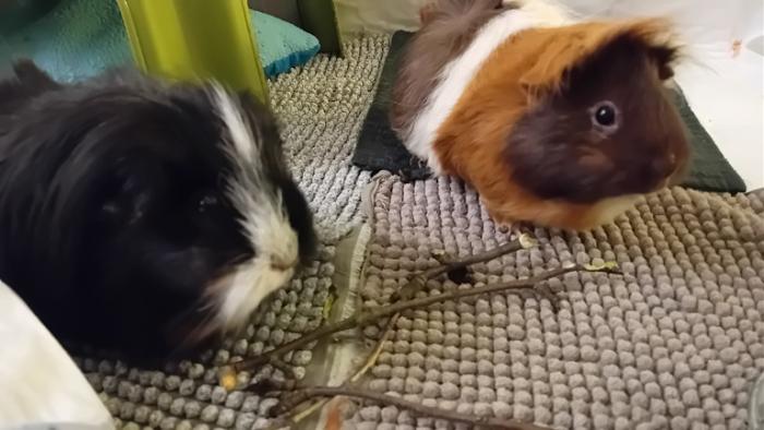 Klicke auf die Grafik fr eine grere Ansicht

Name:	20241126_041559.jpg
Hits:	0
Gre:	98,5 KB
ID:	210740