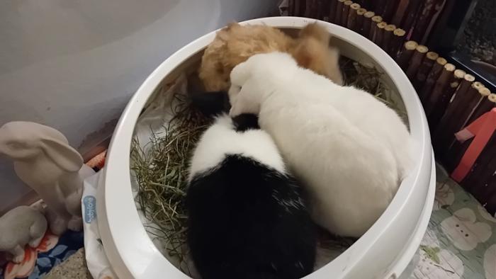 Klicke auf die Grafik fr eine grere Ansicht

Name:	20241129_050445.jpg
Hits:	0
Gre:	79,4 KB
ID:	210743