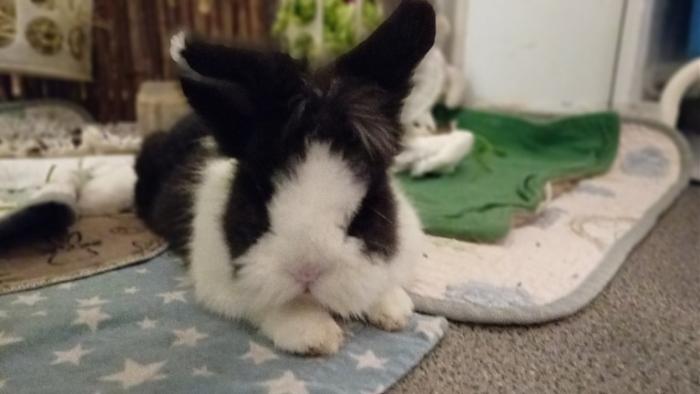 Klicke auf die Grafik fr eine grere Ansicht

Name:	20241125_053201.jpg
Hits:	0
Gre:	76,0 KB
ID:	210747