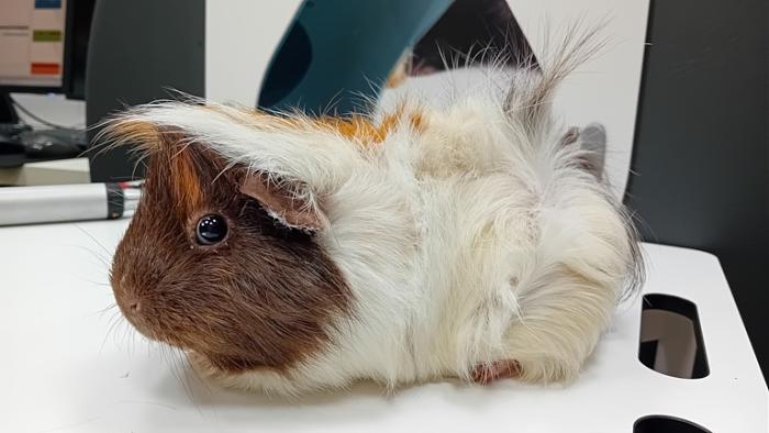 Klicke auf die Grafik fr eine grere Ansicht

Name:	20241204_165824.jpg
Hits:	0
Gre:	97,1 KB
ID:	210854