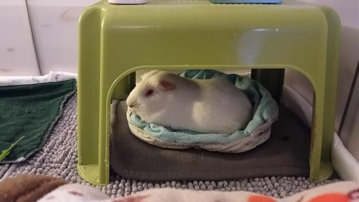 Klicke auf die Grafik fr eine grere Ansicht

Name:	20241202_222543.jpg
Hits:	0
Gre:	80,6 KB
ID:	210856