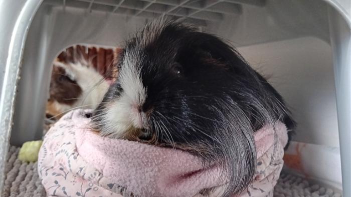 Klicke auf die Grafik fr eine grere Ansicht

Name:	20241203_104914.jpg
Hits:	0
Gre:	101,4 KB
ID:	210860