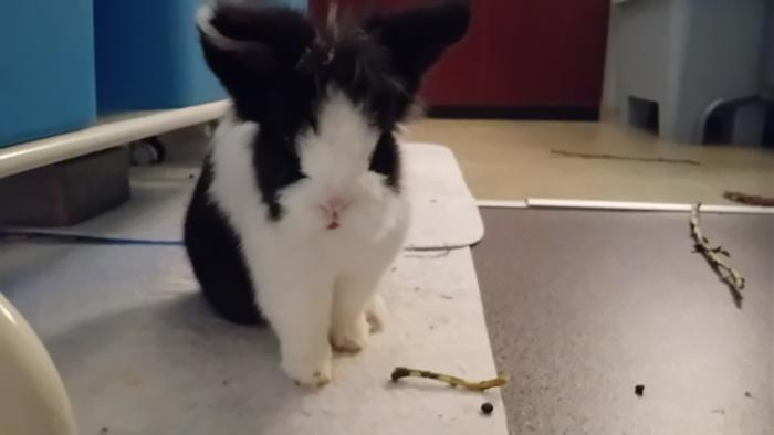 Klicke auf die Grafik fr eine grere Ansicht

Name:	20241208_090839.jpg
Hits:	0
Gre:	52,5 KB
ID:	210861