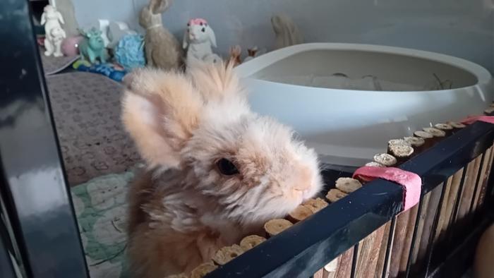 Klicke auf die Grafik fr eine grere Ansicht

Name:	20241208_095022.jpg
Hits:	0
Gre:	82,1 KB
ID:	210862