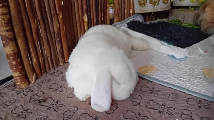 Klicke auf die Grafik fr eine grere Ansicht

Name:	20241208_101340.jpg
Hits:	0
Gre:	101,2 KB
ID:	210863