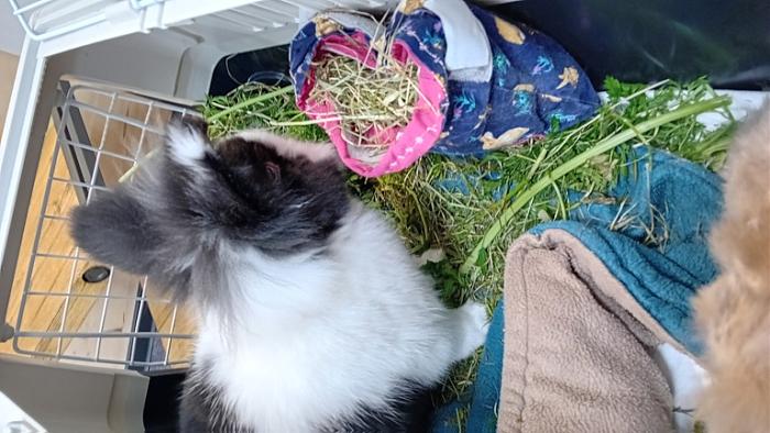 Klicke auf die Grafik fr eine grere Ansicht

Name:	20241204_174007.jpg
Hits:	0
Gre:	136,1 KB
ID:	210864