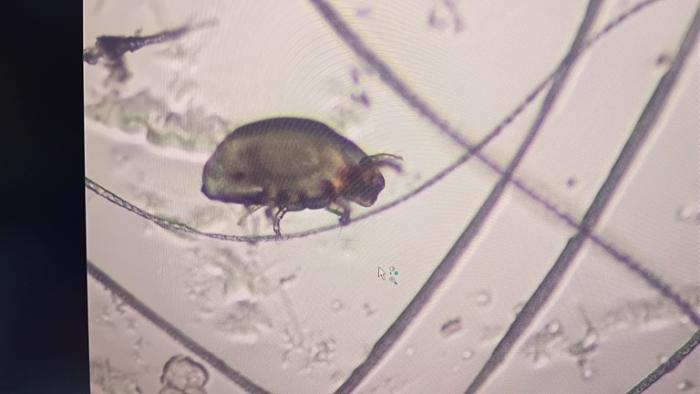 Klicke auf die Grafik fr eine grere Ansicht

Name:	20241204_174654.jpg
Hits:	0
Gre:	78,8 KB
ID:	210865