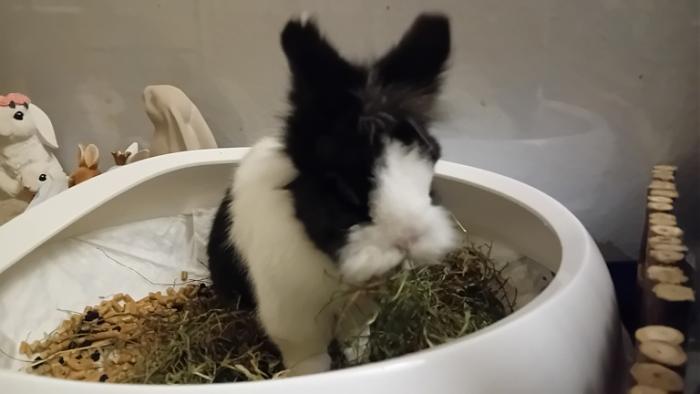 Klicke auf die Grafik fr eine grere Ansicht

Name:	20241205_043144.jpg
Hits:	0
Gre:	66,6 KB
ID:	210866