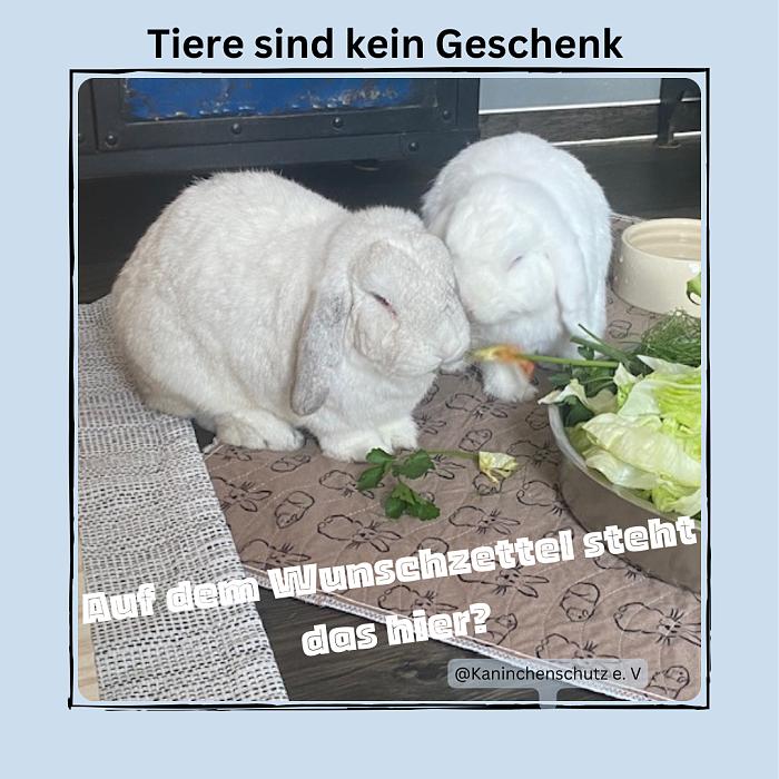 Klicke auf die Grafik fr eine grere Ansicht

Name:	IMG_4139.jpg
Hits:	1
Gre:	54,6 KB
ID:	210891