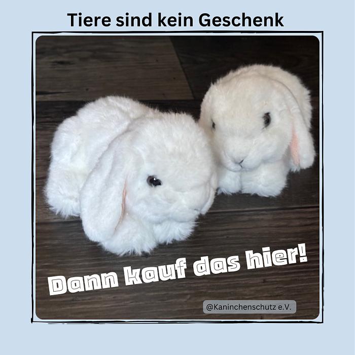 Klicke auf die Grafik fr eine grere Ansicht

Name:	IMG_4140.jpg
Hits:	0
Gre:	40,9 KB
ID:	210892