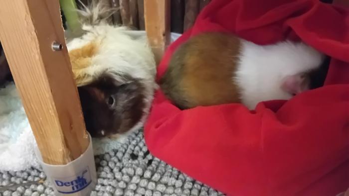 Klicke auf die Grafik fr eine grere Ansicht

Name:	20241209_033545.jpg
Hits:	0
Gre:	67,7 KB
ID:	211001