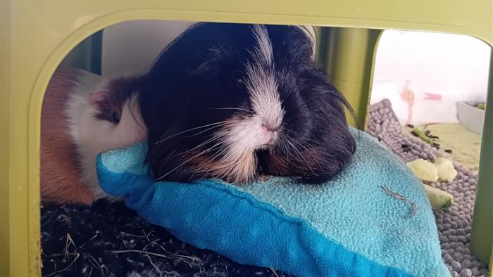 Klicke auf die Grafik fr eine grere Ansicht

Name:	20241214_102858.jpg
Hits:	0
Gre:	108,6 KB
ID:	211002