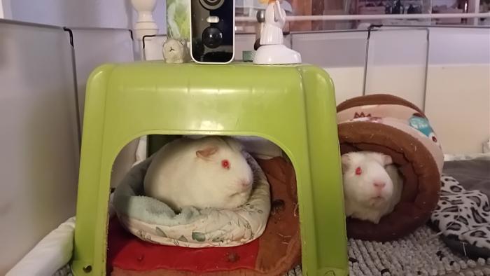 Klicke auf die Grafik fr eine grere Ansicht

Name:	20241215_075323.jpg
Hits:	0
Gre:	75,3 KB
ID:	211003