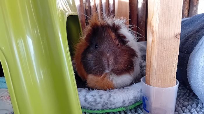 Klicke auf die Grafik fr eine grere Ansicht

Name:	20241215_101912.jpg
Hits:	0
Gre:	108,3 KB
ID:	211004