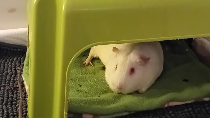 Klicke auf die Grafik fr eine grere Ansicht

Name:	20241209_033515.jpg
Hits:	0
Gre:	67,2 KB
ID:	211005