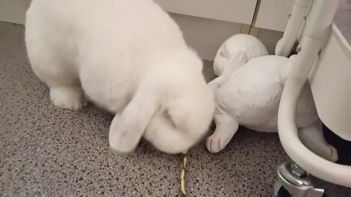 Klicke auf die Grafik fr eine grere Ansicht

Name:	20241213_044357.jpg
Hits:	1
Gre:	79,4 KB
ID:	211006