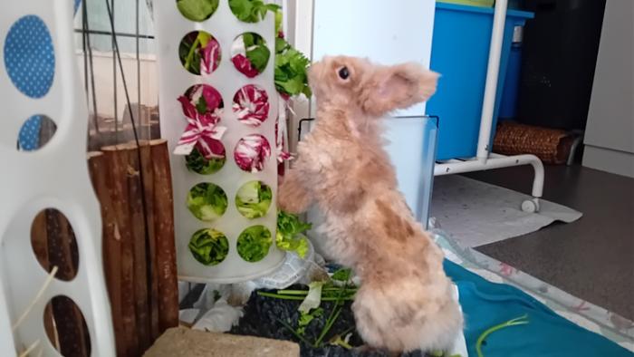 Klicke auf die Grafik fr eine grere Ansicht

Name:	20241214_103350.jpg
Hits:	0
Gre:	91,6 KB
ID:	211009