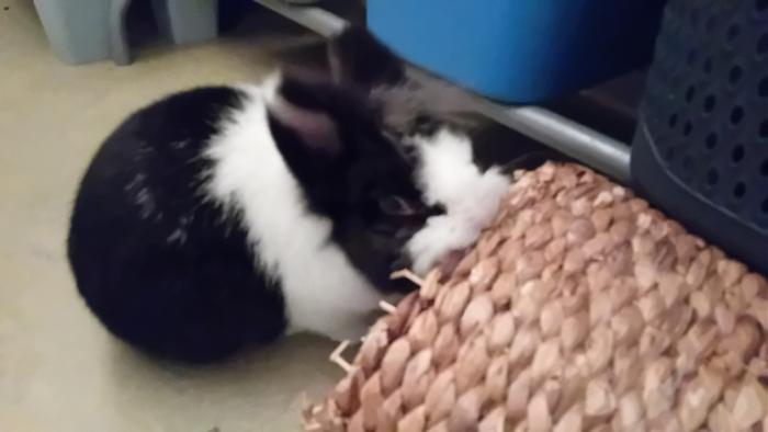 Klicke auf die Grafik fr eine grere Ansicht

Name:	20241213_044341.jpg
Hits:	0
Gre:	64,2 KB
ID:	211012