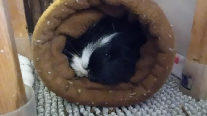 Klicke auf die Grafik fr eine grere Ansicht

Name:	20250112_060605.jpg
Hits:	0
Gre:	63,2 KB
ID:	211520