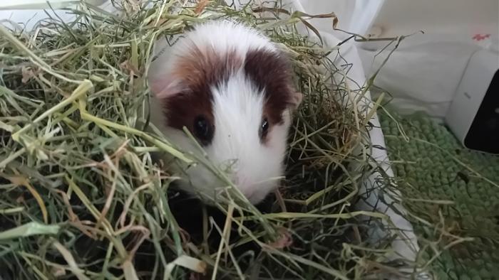 Klicke auf die Grafik fr eine grere Ansicht

Name:	20250113_082022.jpg
Hits:	0
Gre:	116,4 KB
ID:	211521