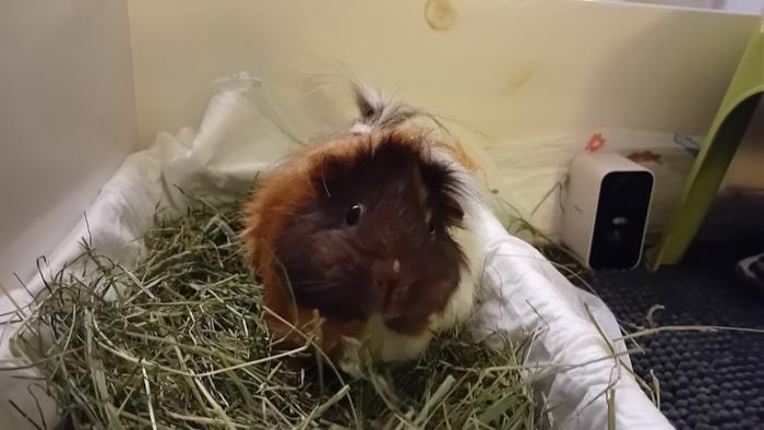 Klicke auf die Grafik fr eine grere Ansicht

Name:	20250109_035927.jpg
Hits:	0
Gre:	86,5 KB
ID:	211523